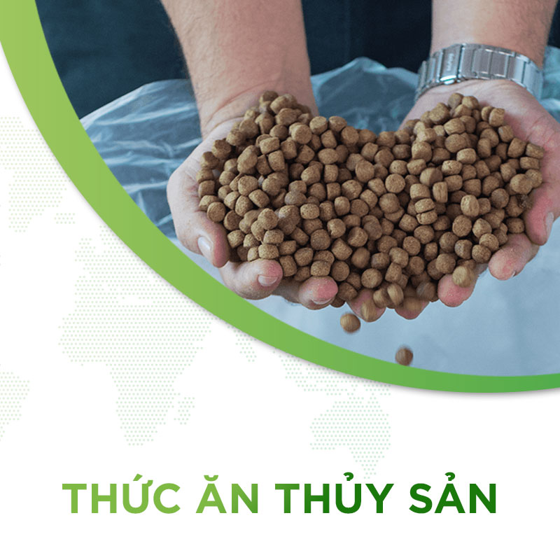 Thức ăn thủy hải sản t&ocirc;m c&aacute; Nghệ An H&agrave; Tĩnh